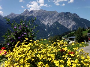 escursioni turistiche in pullmino nel Vorarlberg